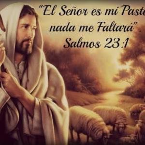 Meet your Posher, Yoshi